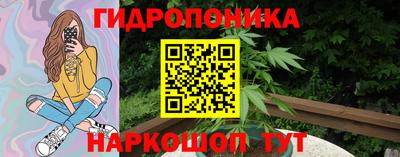крисы Обнинск