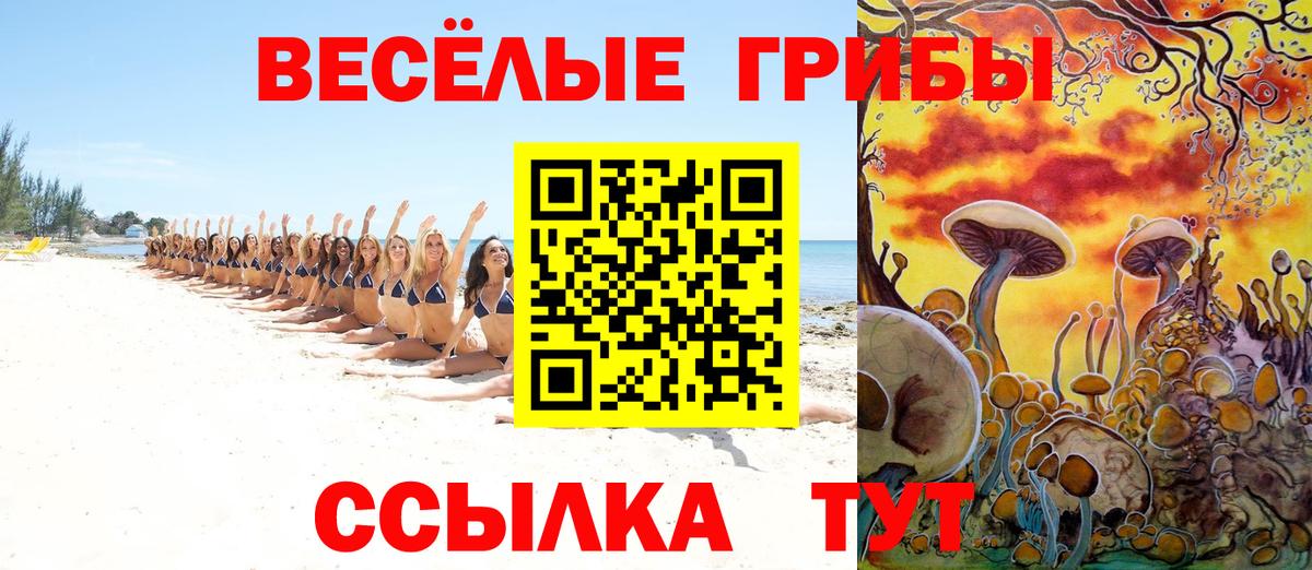 Псилоцибиновые грибы мицелий  Вход с VPN  где купить   Северобайкальск 